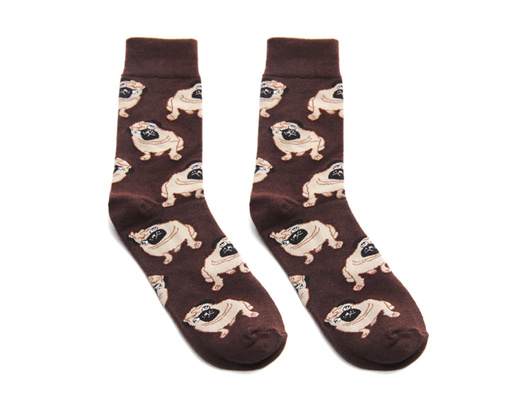 dog12337